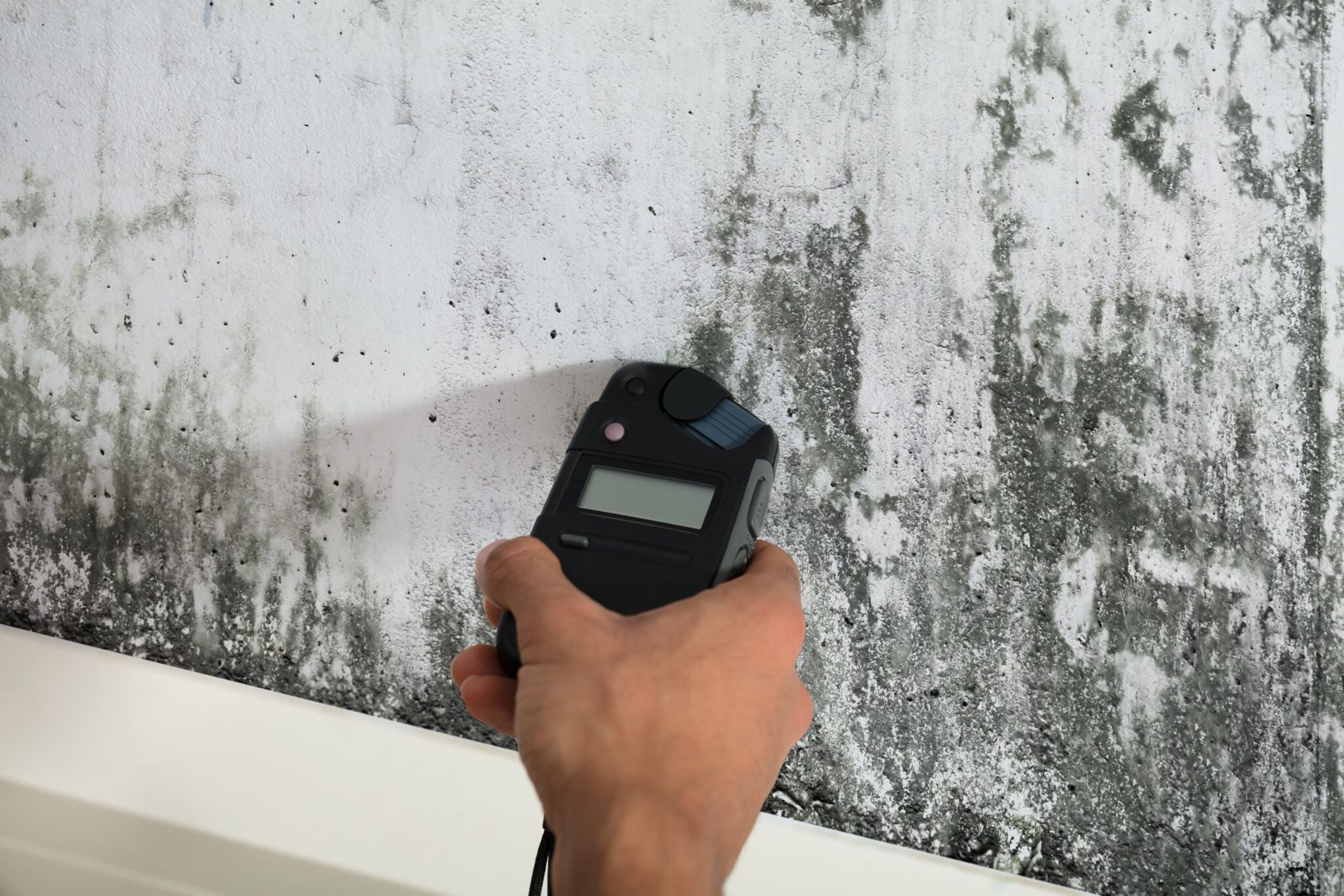 Mold and Allergen Testing